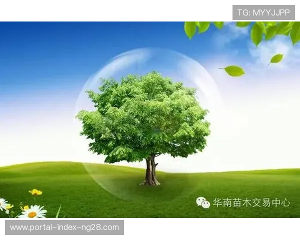 赞助商权益体系向碳资产领域延伸 开启了绿色公益与商业价值的深度耦合